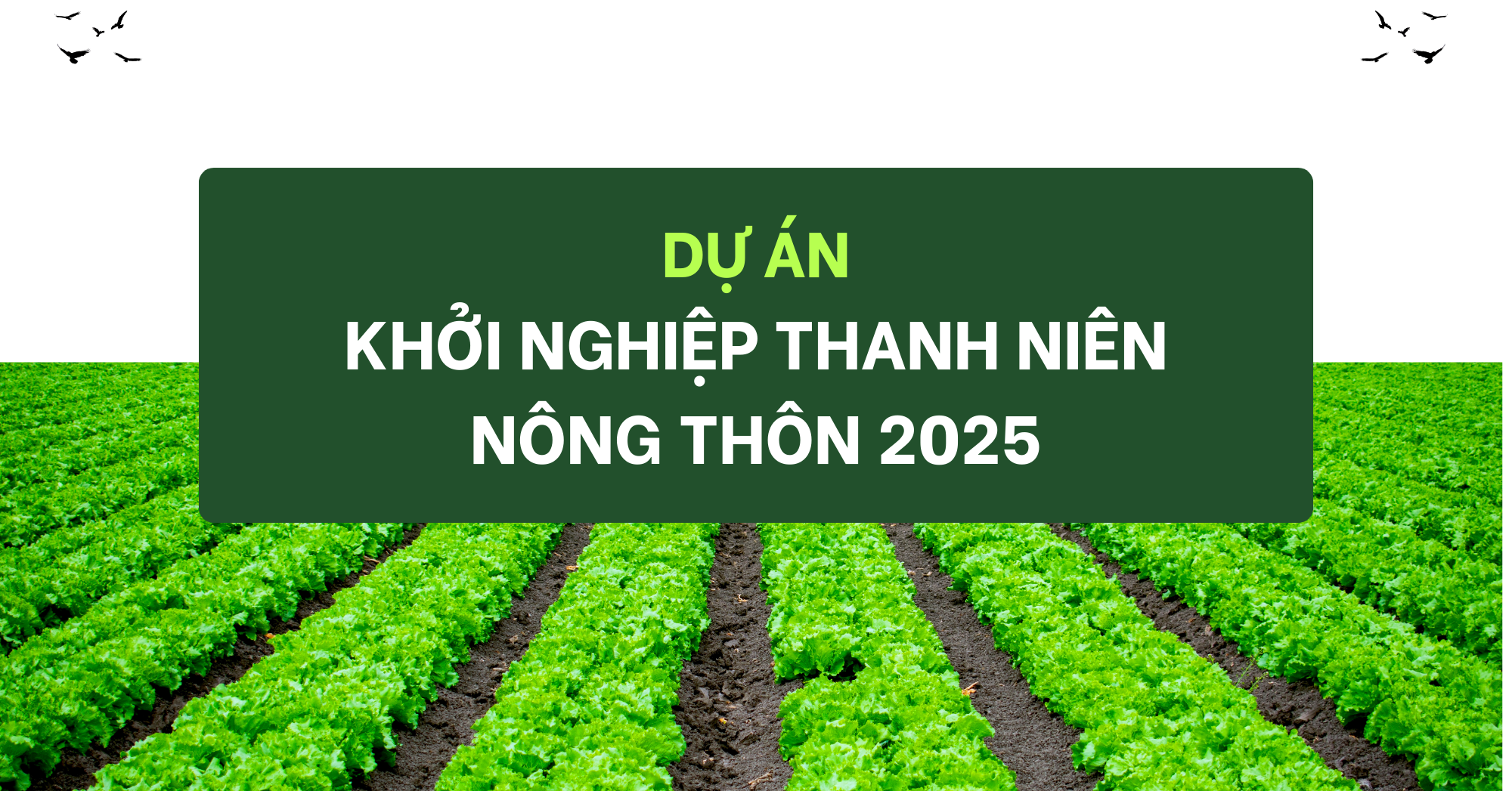 thumb website (1)